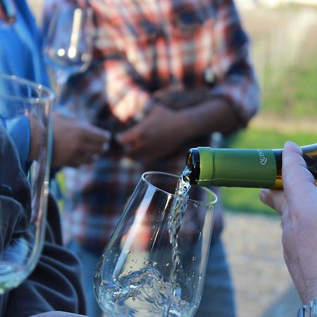 Quinta Pousada De Fora Wines & Tourism غيمارايش المظهر الخارجي الصورة