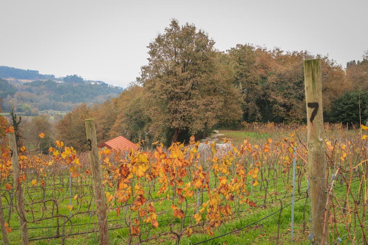 Quinta Pousada De Fora Wines & Tourism غيمارايش المظهر الخارجي الصورة