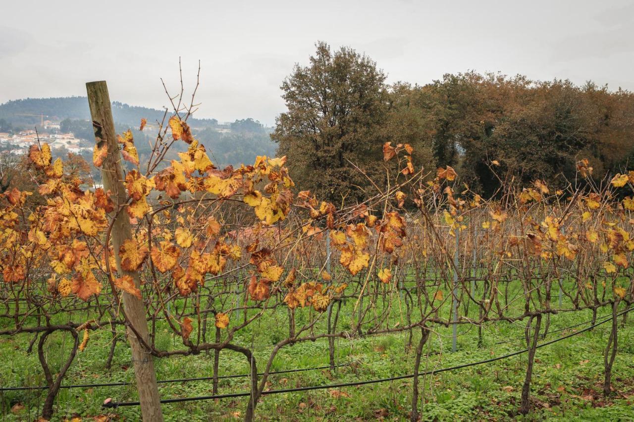 Quinta Pousada De Fora Wines & Tourism غيمارايش المظهر الخارجي الصورة
