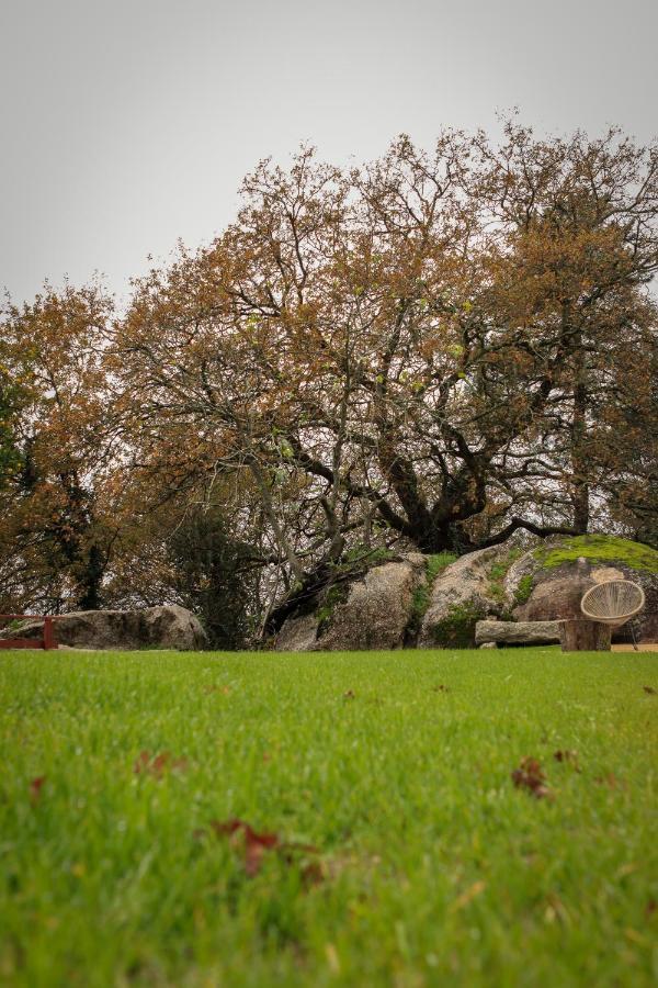 Quinta Pousada De Fora Wines & Tourism غيمارايش المظهر الخارجي الصورة