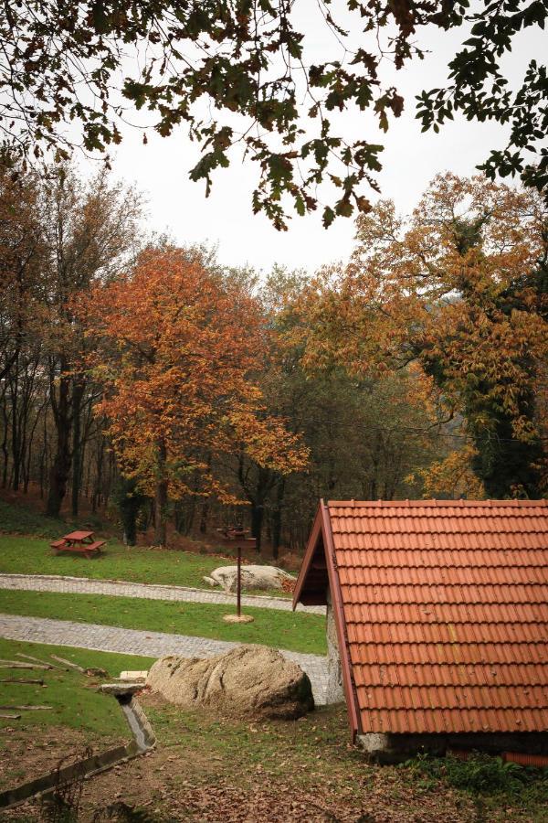 Quinta Pousada De Fora Wines & Tourism غيمارايش المظهر الخارجي الصورة