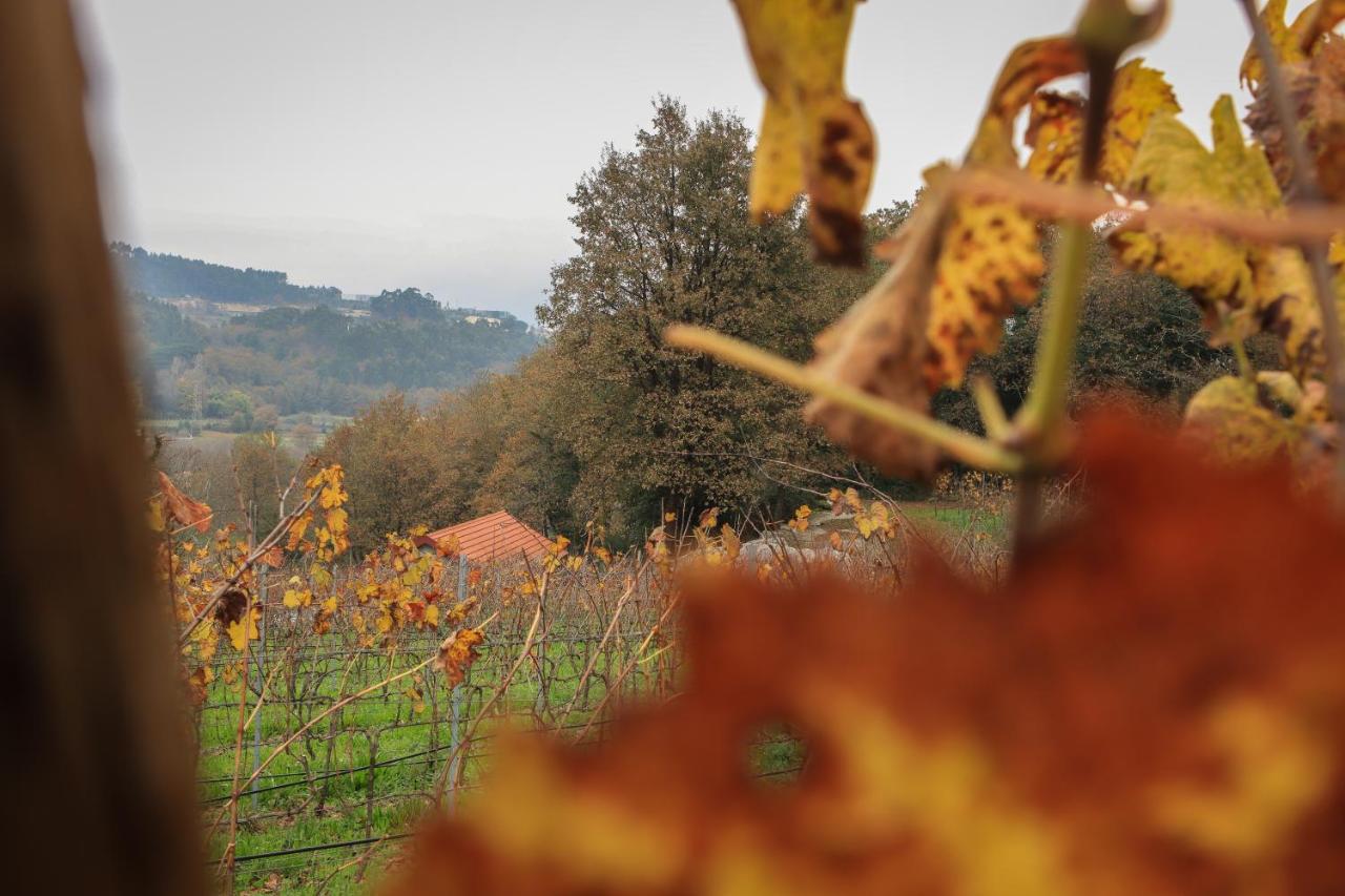 Quinta Pousada De Fora Wines & Tourism غيمارايش المظهر الخارجي الصورة