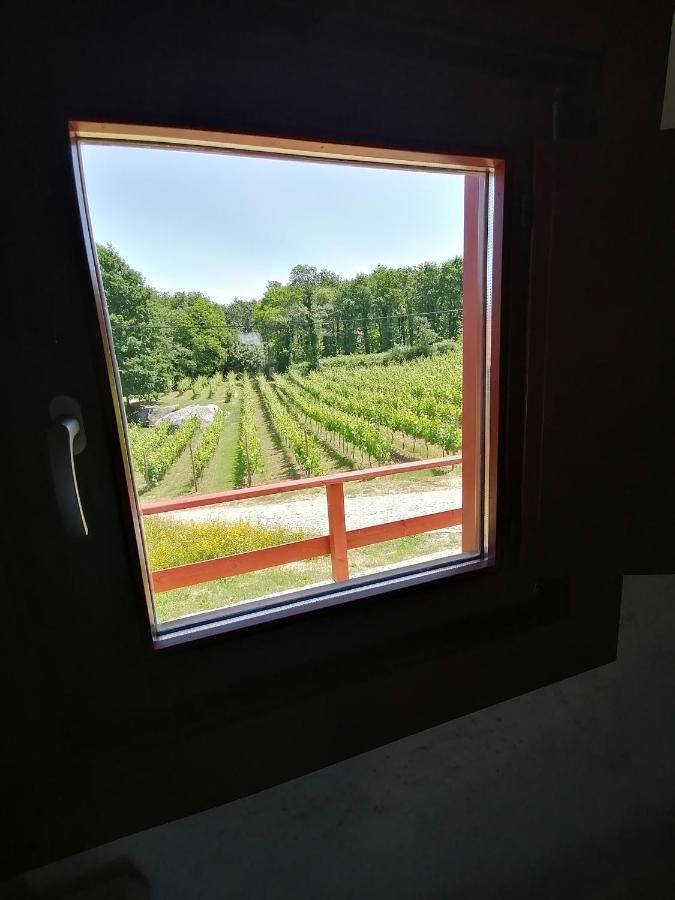Quinta Pousada De Fora Wines & Tourism غيمارايش المظهر الخارجي الصورة
