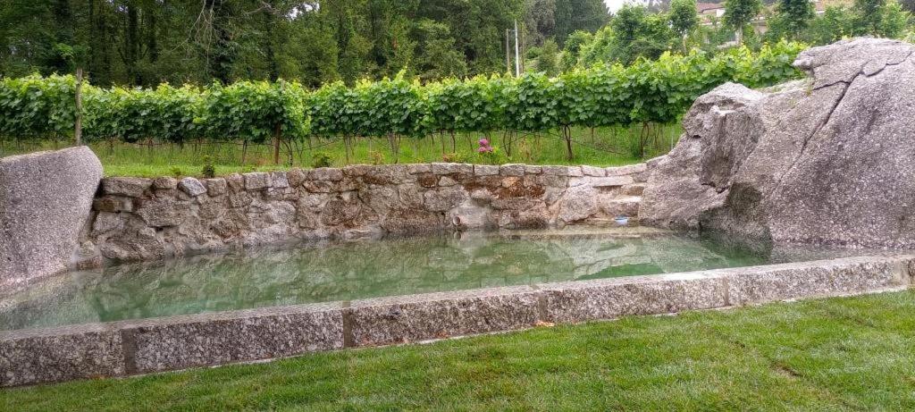 Quinta Pousada De Fora Wines & Tourism غيمارايش المظهر الخارجي الصورة