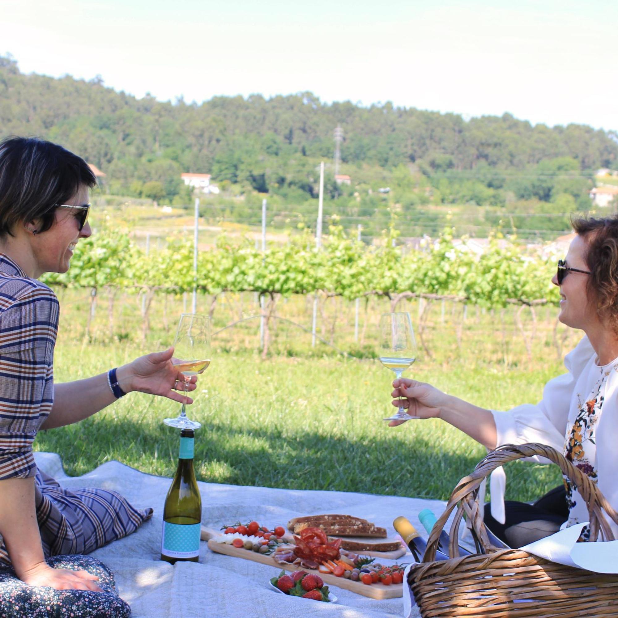 Quinta Pousada De Fora Wines & Tourism غيمارايش المظهر الخارجي الصورة